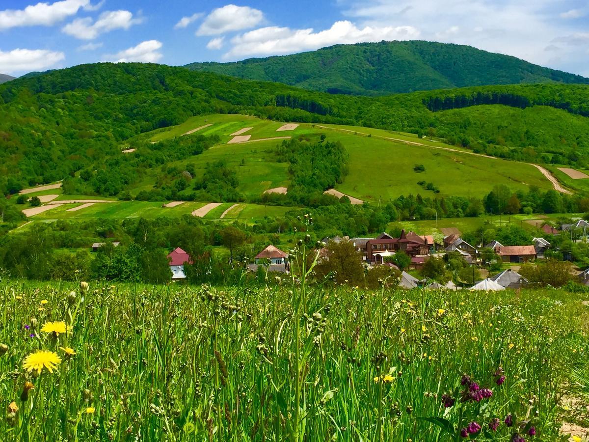 Minihotel Zolotoe Runo Ploskoye Exteriér fotografie